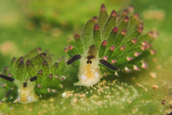 Dive Into a Photographer’s Paradise