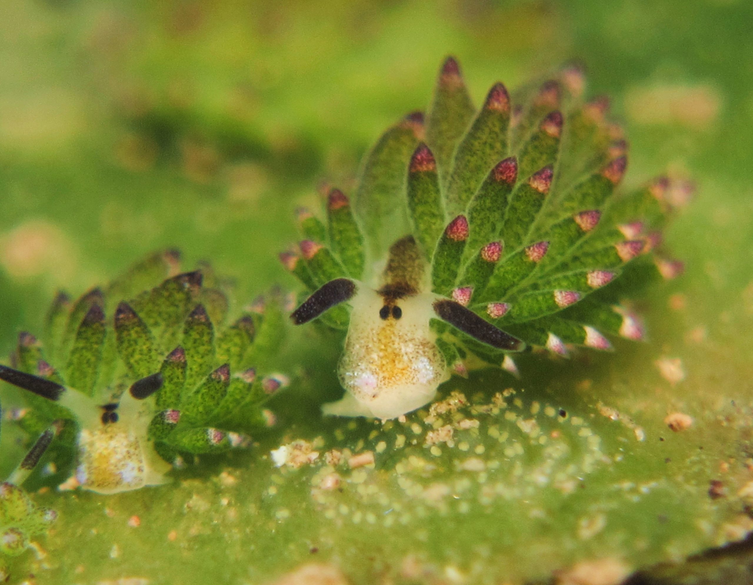 Dive Into a Photographer’s Paradise