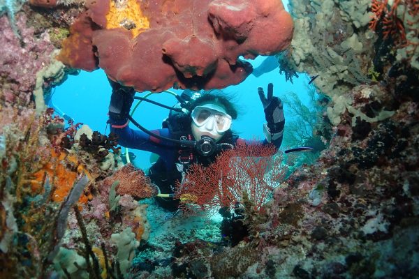 dive-center-Pulau-menjangan dive-center-Pulau-menjangan