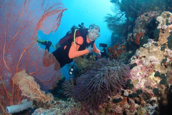 Padi Advanced Open Water Diver Course