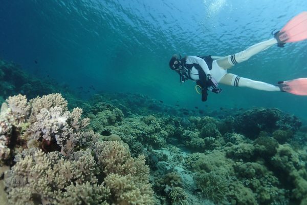 diving-center-menjangan diving-center-menjangan