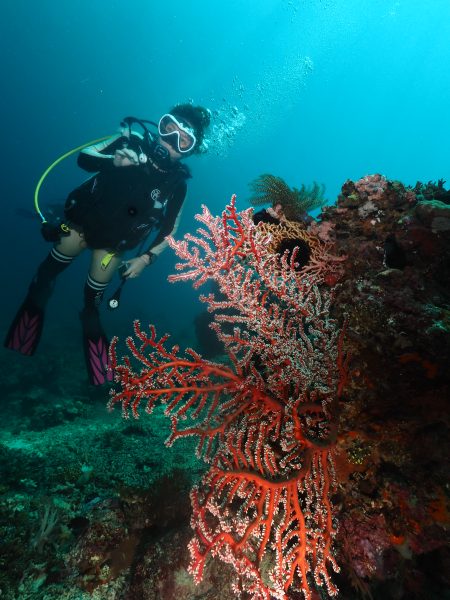 North Bali’s Coral Reefs