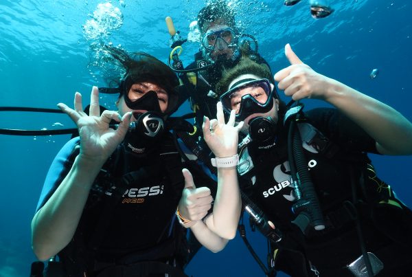 PADI Open Water diving course