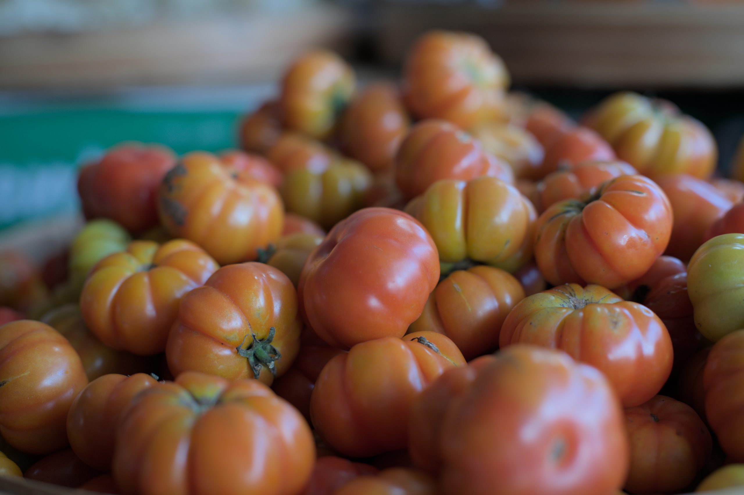 Indulge in the authentic flavors of Bali right here at our guesthouse kitchen. From the first bite, you'll notice the care and freshness in every dish.