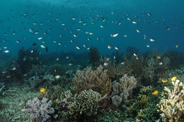 WhatsApp Image 2025-04-11 6 WhatsApp Image 2025-04-11 6