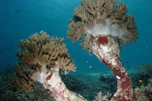 WhatsApp Image 2025-04-11 at 10.01.57 WhatsApp Image 2025-04-11 at 10.01.57