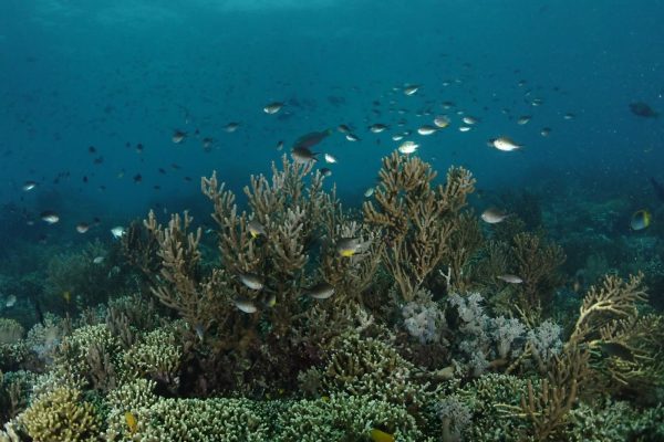 WhatsApp Image 2025-04-11 at 101.56 WhatsApp Image 2025-04-11 at 101.56